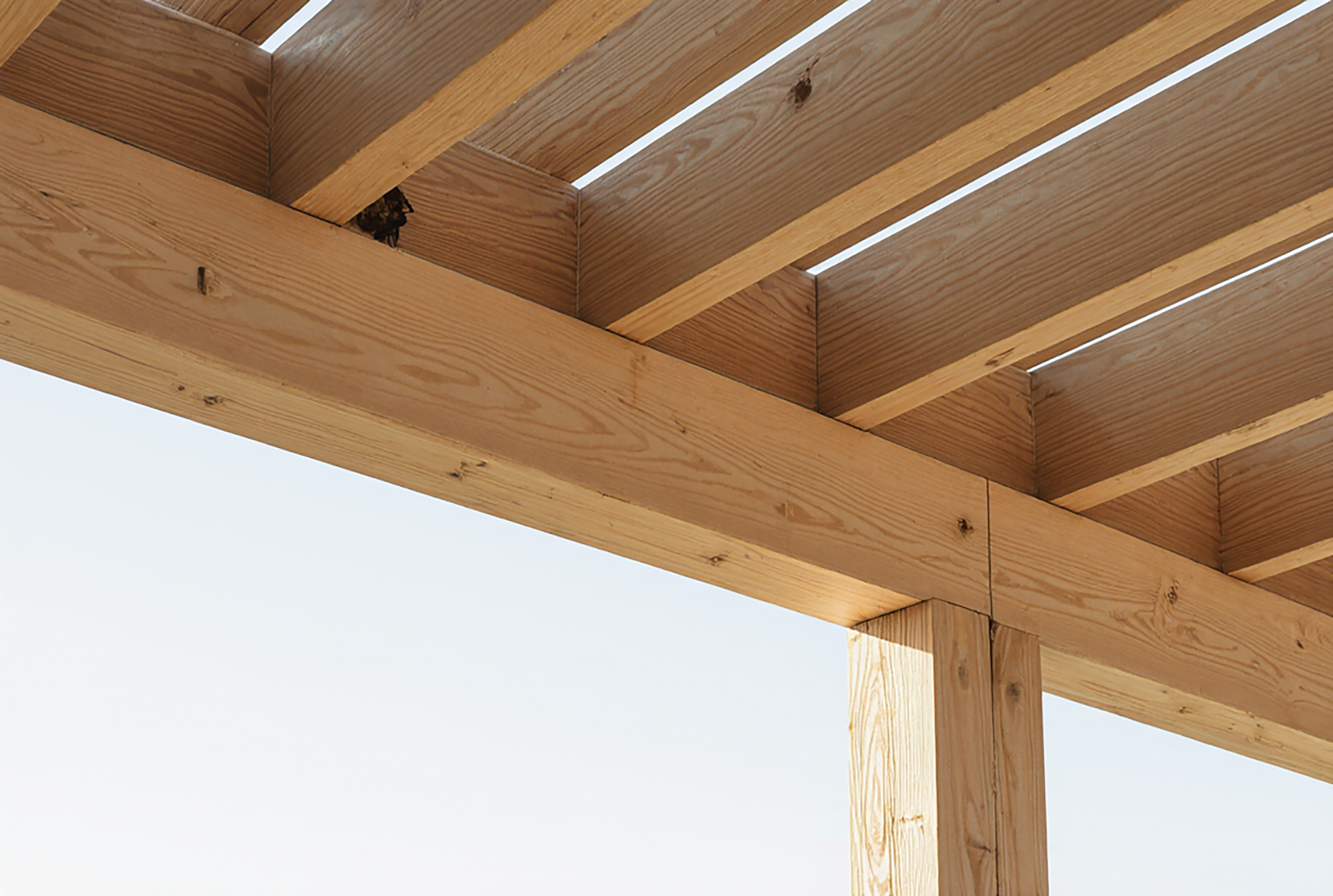 Pergola
